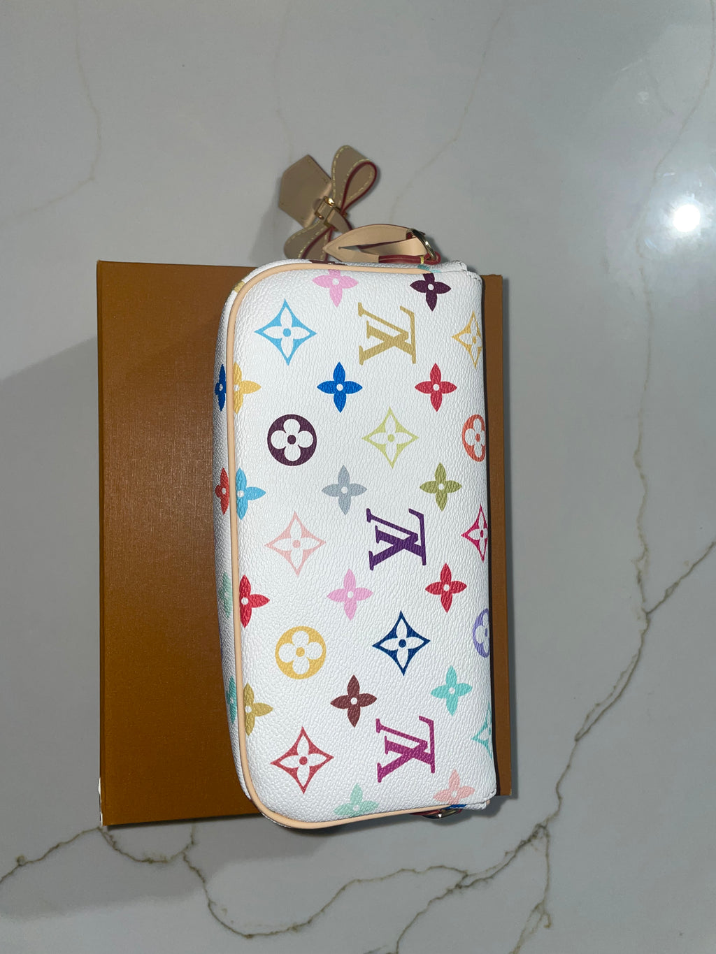 Louis Vuitton multicolor bag